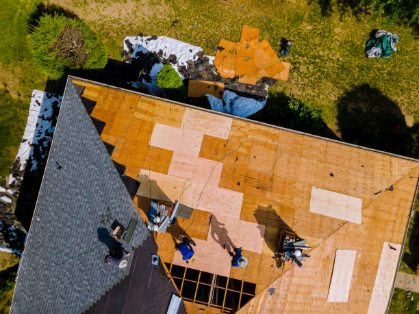 Best Roof Gutter Cleaning  in Pinson, AL